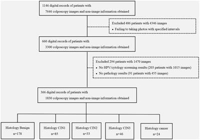Artificial intelligence in colposcopic examination: A promising tool to assist junior colposcopists